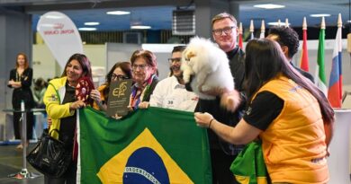 A história da gatofilia no Brasil