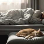 Como lidar com miados noturnos – o guia para entender e acalmar seu gato