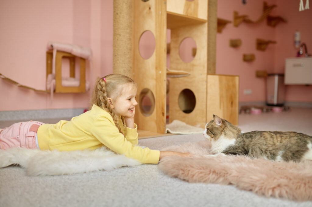 Gatil responsável: criança brincando com gato